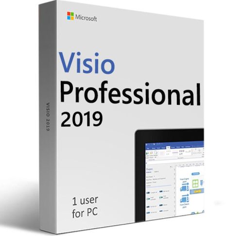 Microsoft Visio Professional 2019 (Transferable)